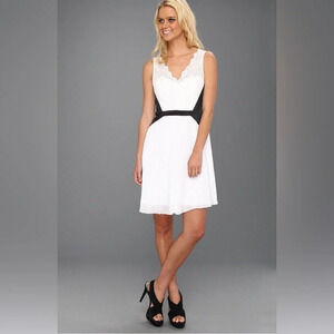 MAX & CLEO Tricia Pleated Lace Dress in Black and‎ White